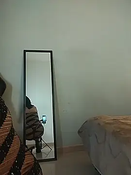 evazul webcam