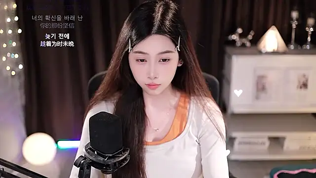 SleepArtist webcam