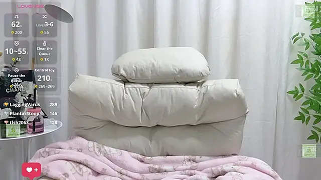 Yoyo_520 webcam