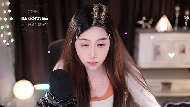 SleepArtist webcam