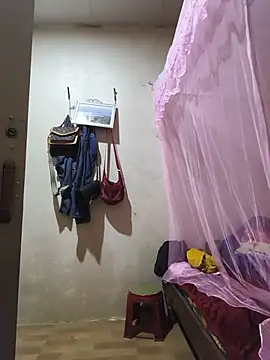 he-se-kin webcam