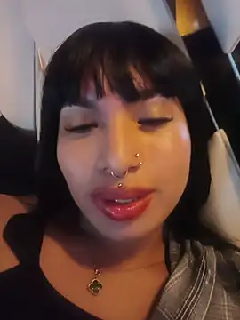 MeelFox webcam