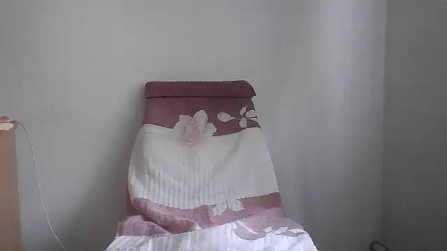 fl3xxx1 webcam