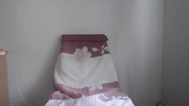 fl3xxx1 webcam