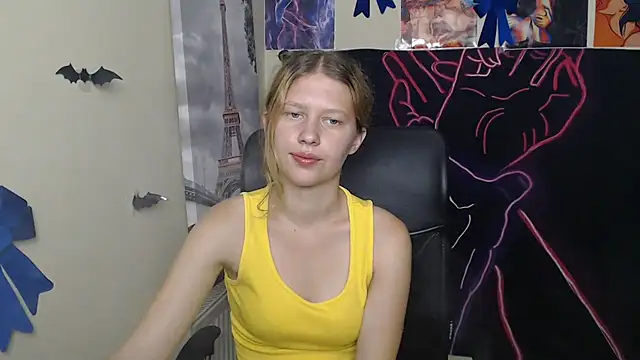 StellaCRL webcam