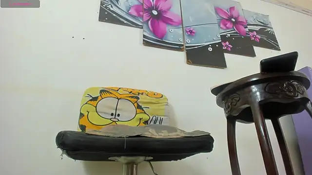 baiolethX webcam