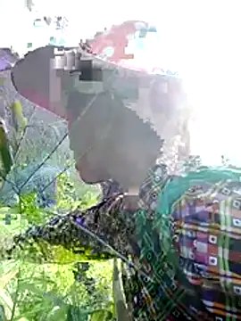 phlin1 webcam