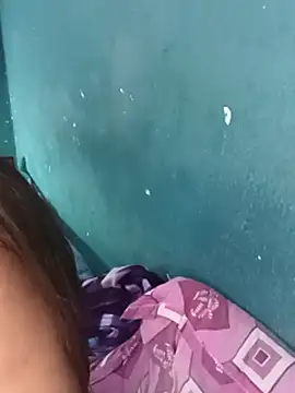 Model-031 webcam