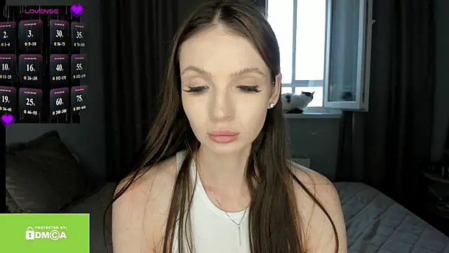 Vanaldienn webcam