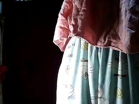 simplytrans webcam