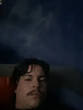 VnLuff webcam