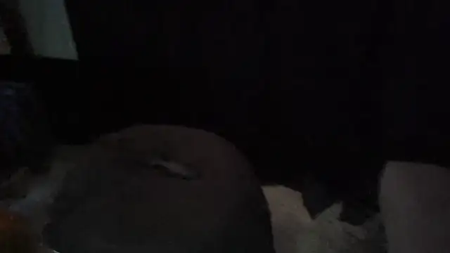 heydenny420 webcam