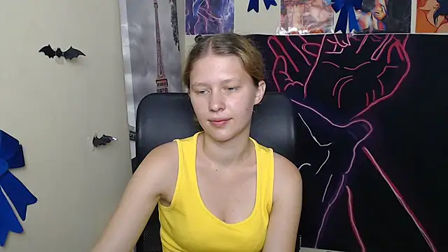 StellaCRL webcam