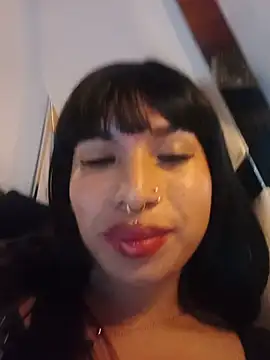 MeelFox webcam