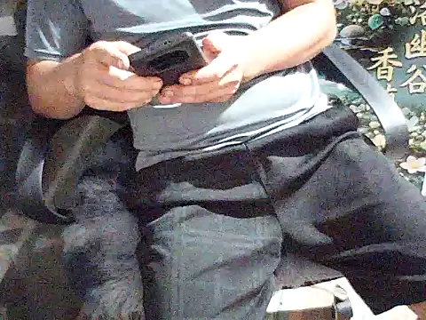 Trai-zin webcam