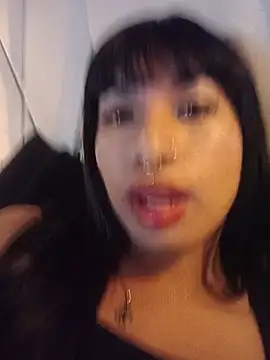 MeelFox webcam