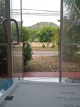 Hiptonos webcam