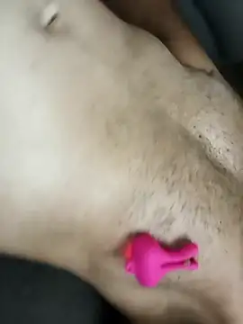 Antuapertutti webcam