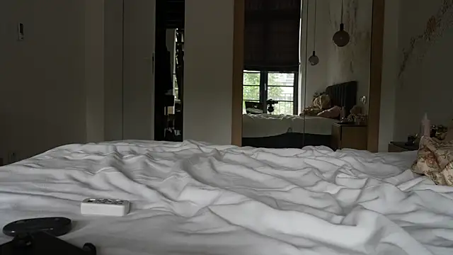 ibiddi webcam