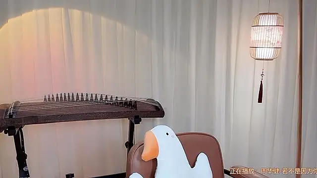 Tian-xin-999 webcam