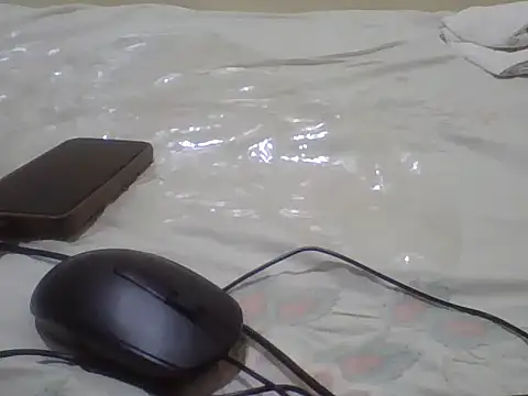 Swt_pie webcam