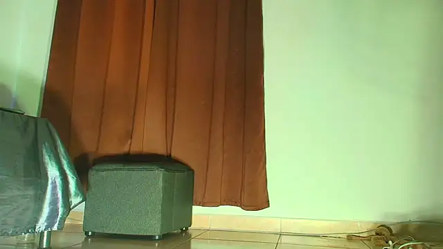 Mila_cams1_ webcam