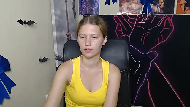 StellaCRL webcam