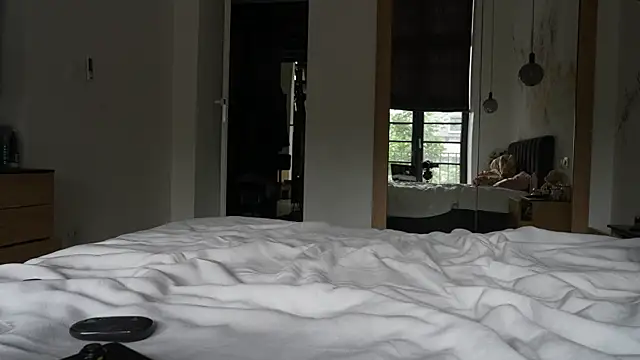 ibiddi webcam