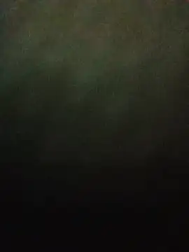 Tina_Mirabella webcam