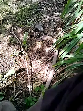 hornny_boy35 webcam