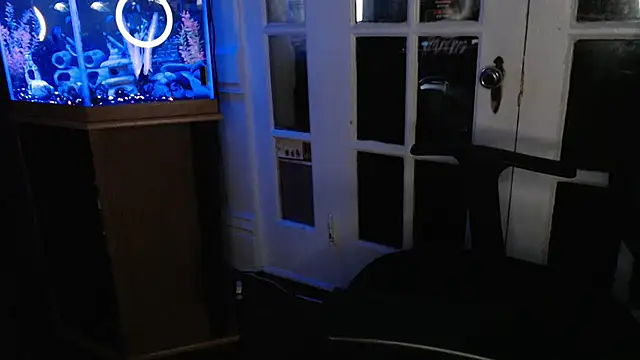 EspanolVato webcam