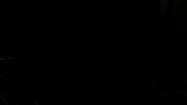 SyBo2026 webcam