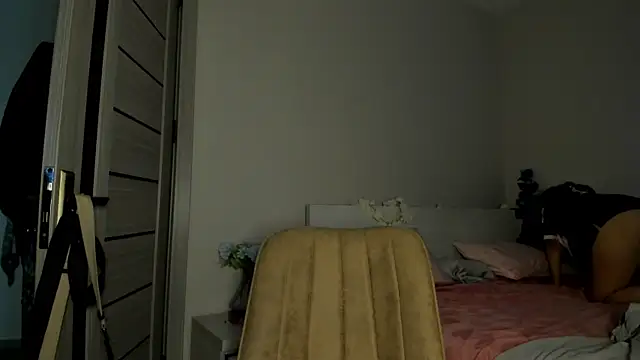 missinfull webcam