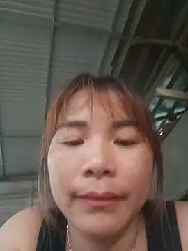 -Nibi- webcam