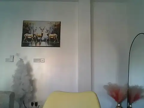 snowy190 webcam