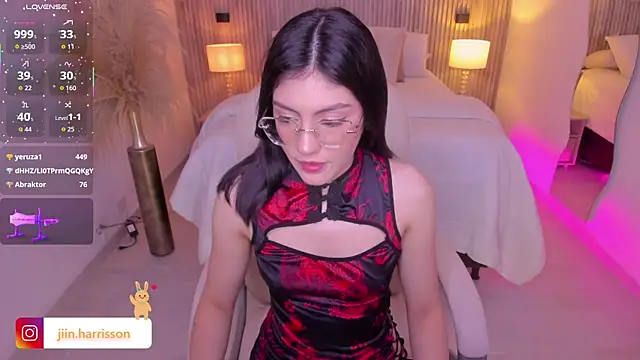 Jin-harrison webcam