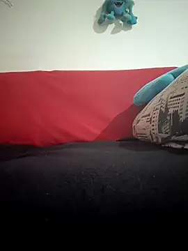 Doudoulecoquin webcam