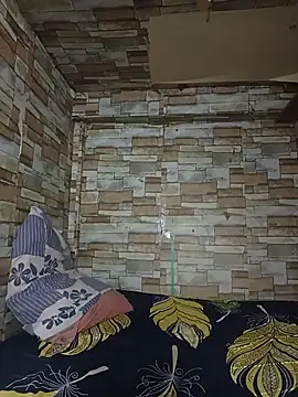 manilafoxts webcam