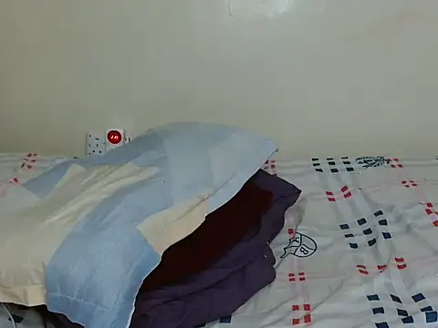 luzrem webcam