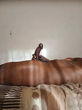 PussyPounderBlackD