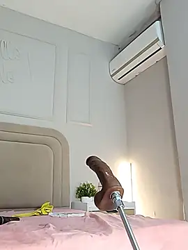 Liastarkk webcam