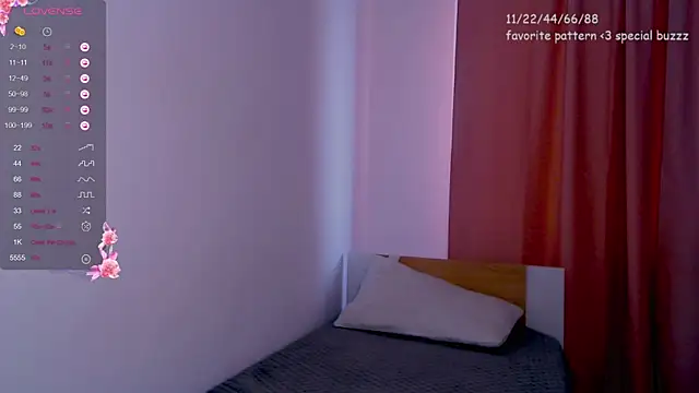 Sarah_HS webcam