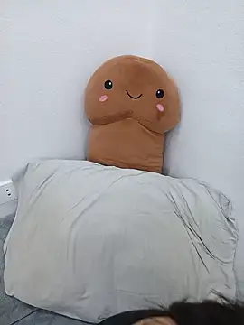 Katanh webcam