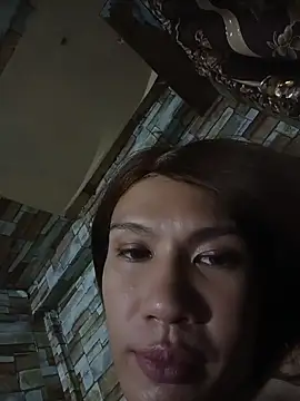 manilafoxts webcam