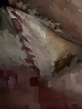 thithi237031 webcam