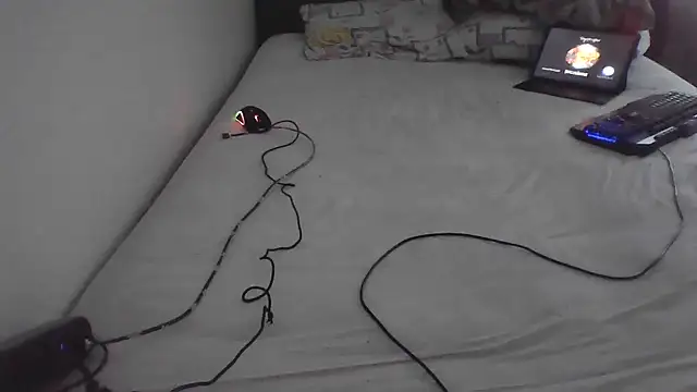 HotwifeAvcisiOlgunAdam webcam