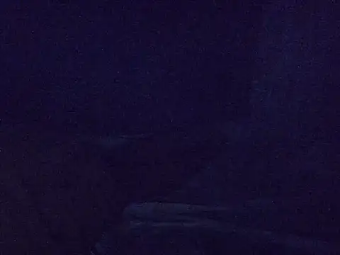 queen_bee2 webcam