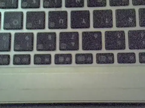 Delicious-D webcam