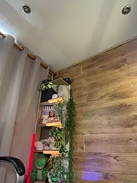 Miila_snow webcam
