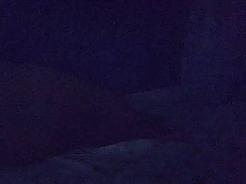 queen_bee2 webcam